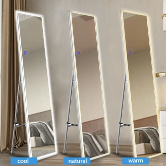 Details of  Standing Dressing Mirror Light Source